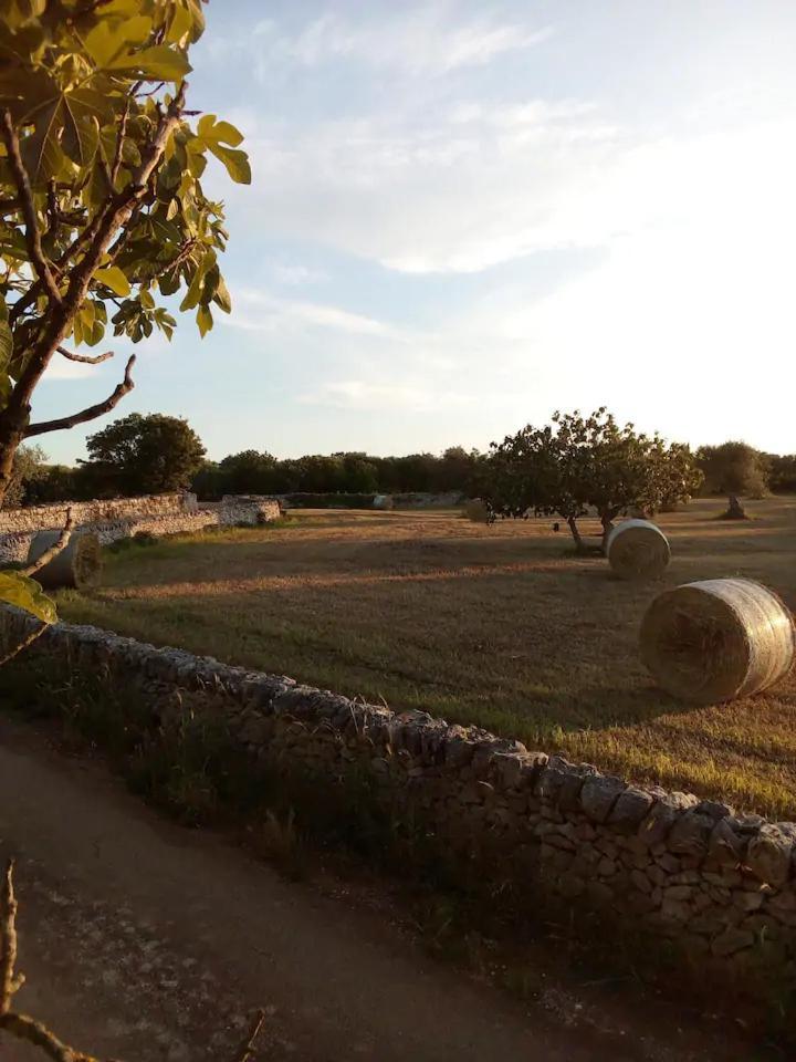 Masseria Fra Diavolo Guest House Кастелана Гроте Екстериор снимка