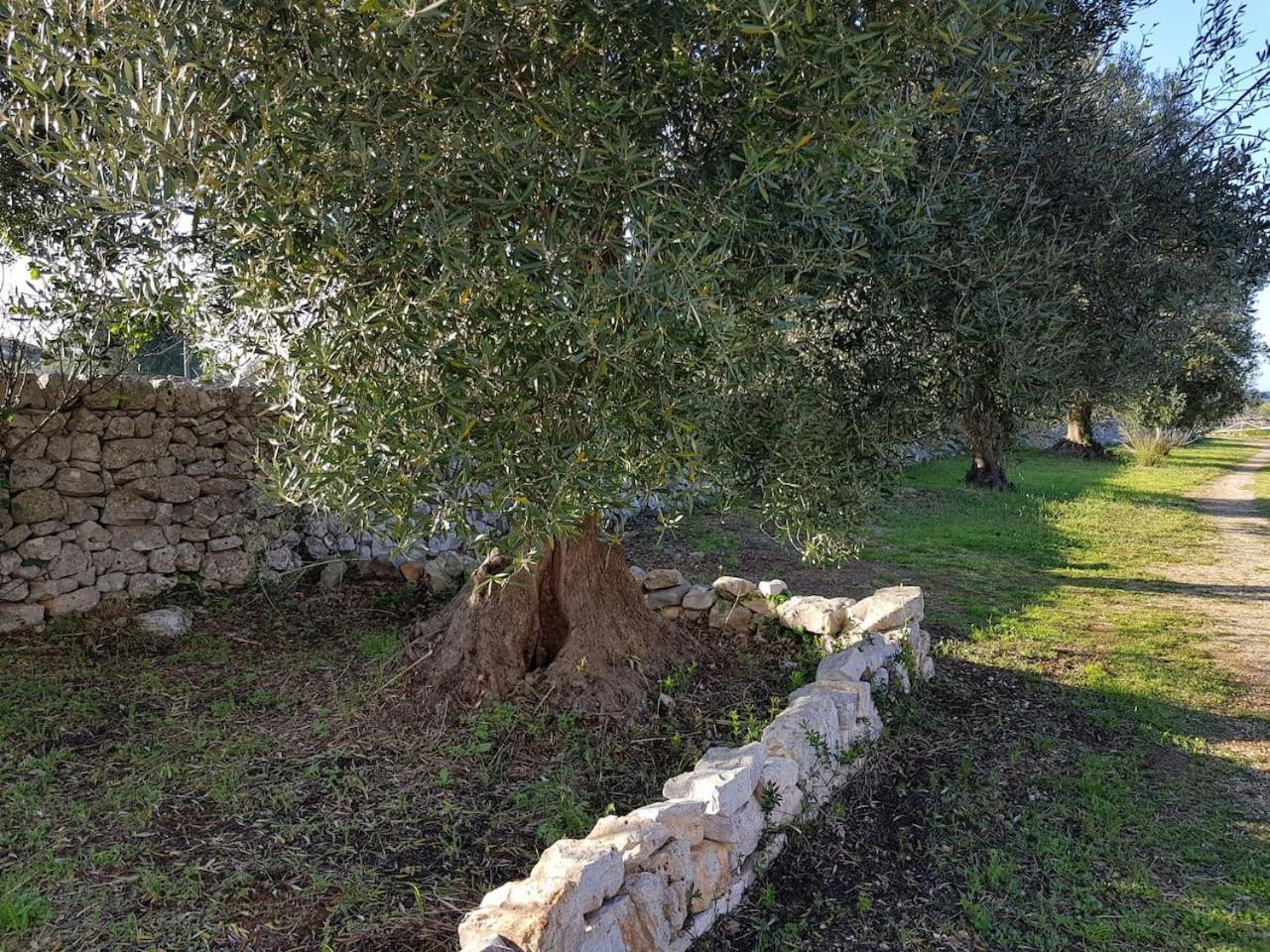 Masseria Fra Diavolo Guest House Кастелана Гроте Екстериор снимка