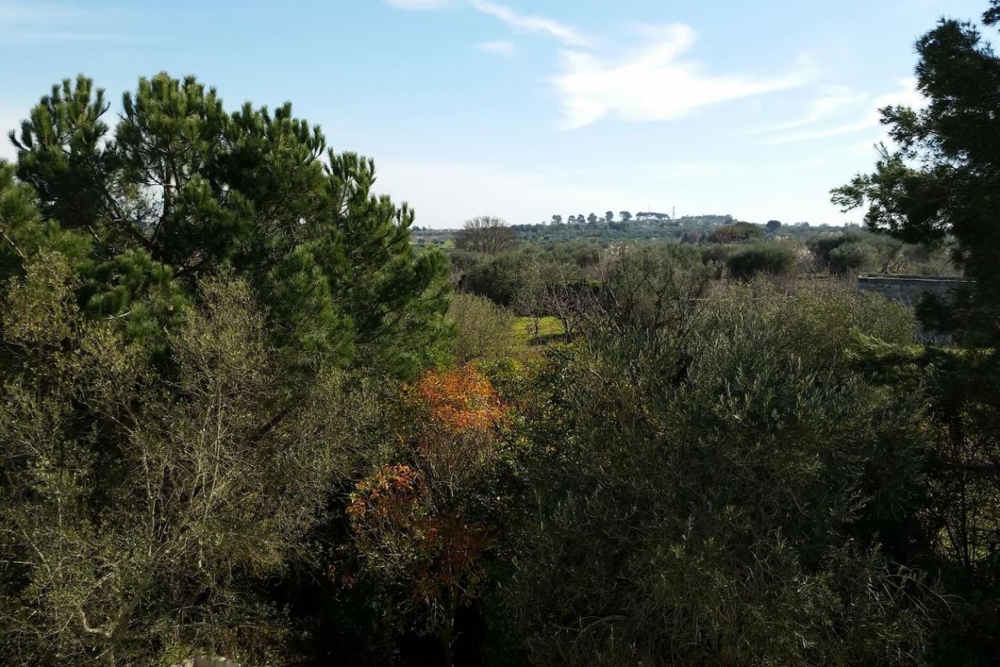 Masseria Fra Diavolo Guest House Кастелана Гроте Екстериор снимка